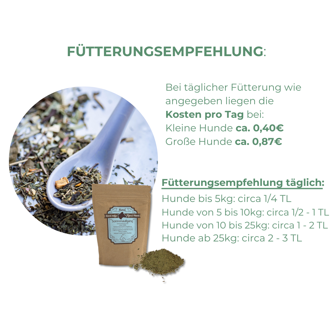 Ergänzung der körpereigenen Darmfunktion und Darmsanierung