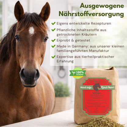 Pferd mit einer Tüte Mineralien