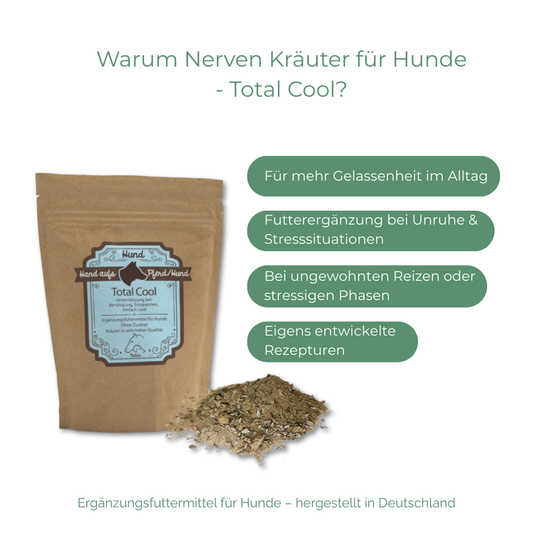 Nerven Kräuter für Hunde – Pflanzliche Unterstützung der natürlichen Nervenfunktion