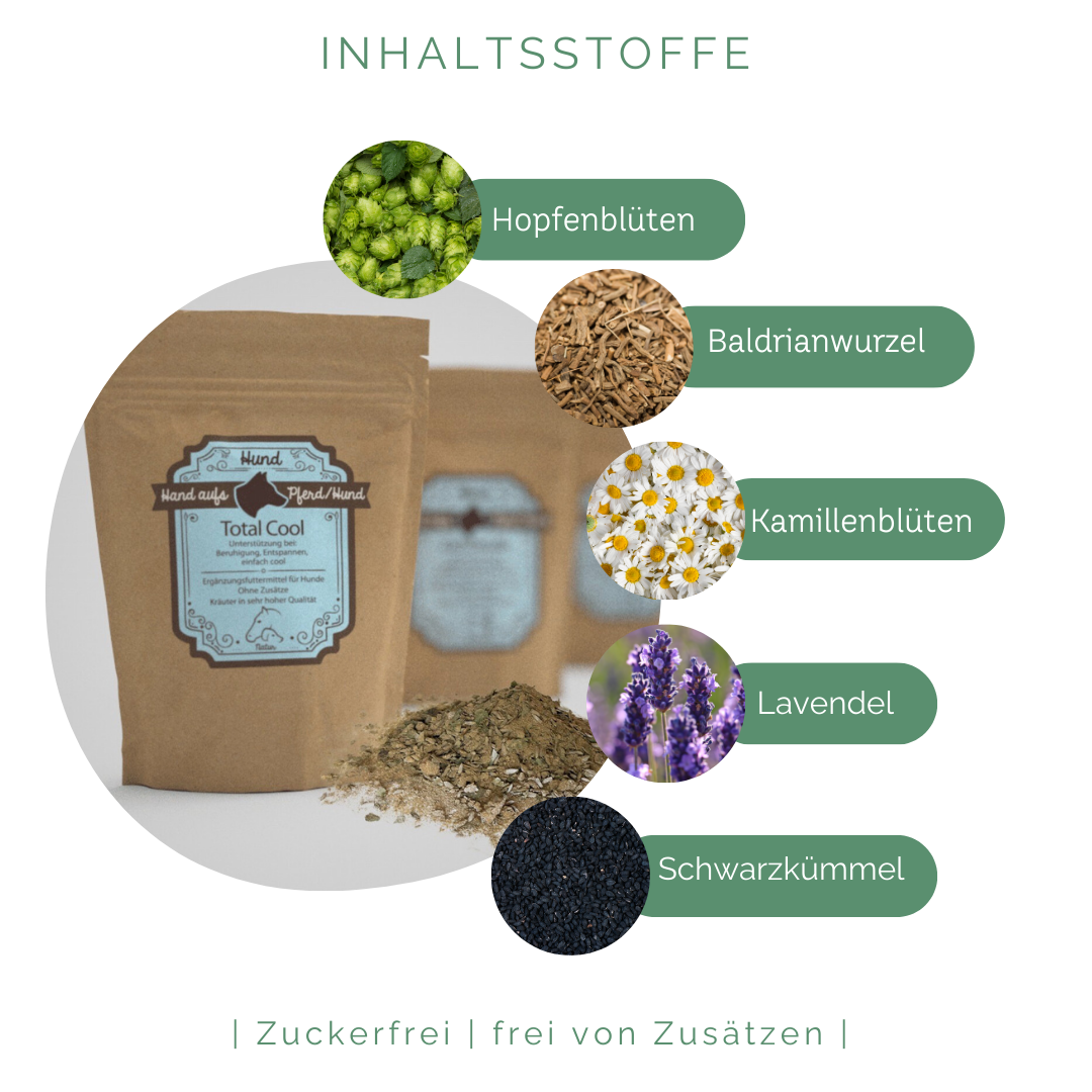 Inhaltsstoffe Kräuter Angst und Stress Hund