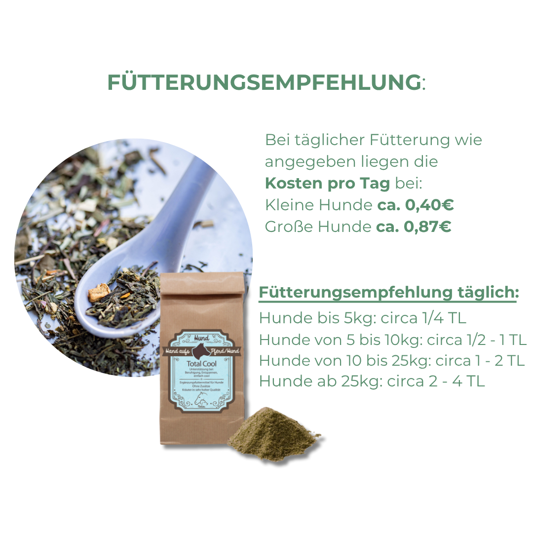 Entspannung für Hunde