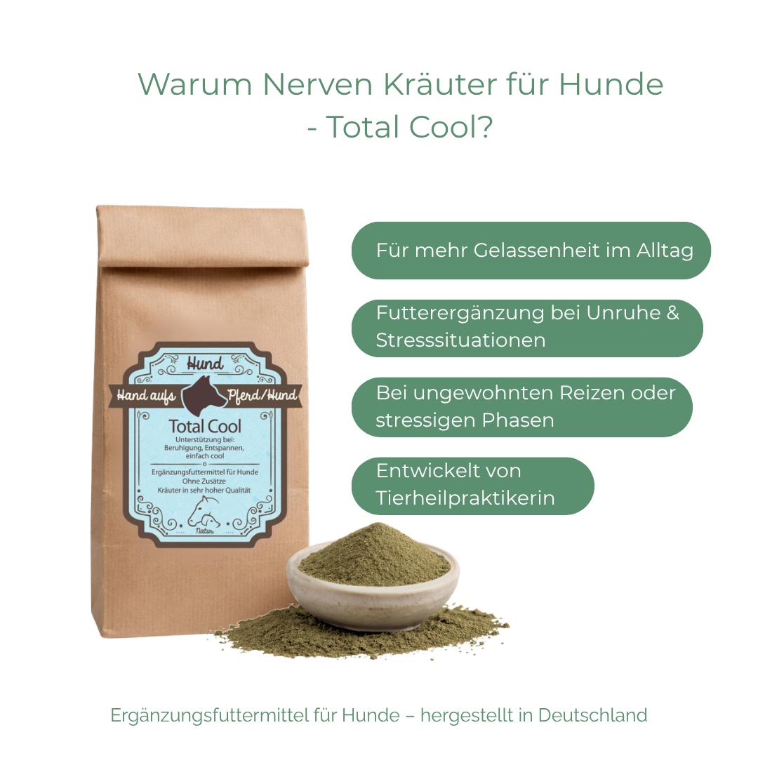 Gelassenheit Hund