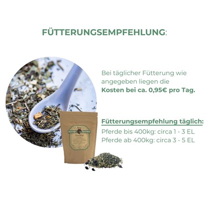 Erhöhte Nierenwerte im Blut beim Pferd was hilft