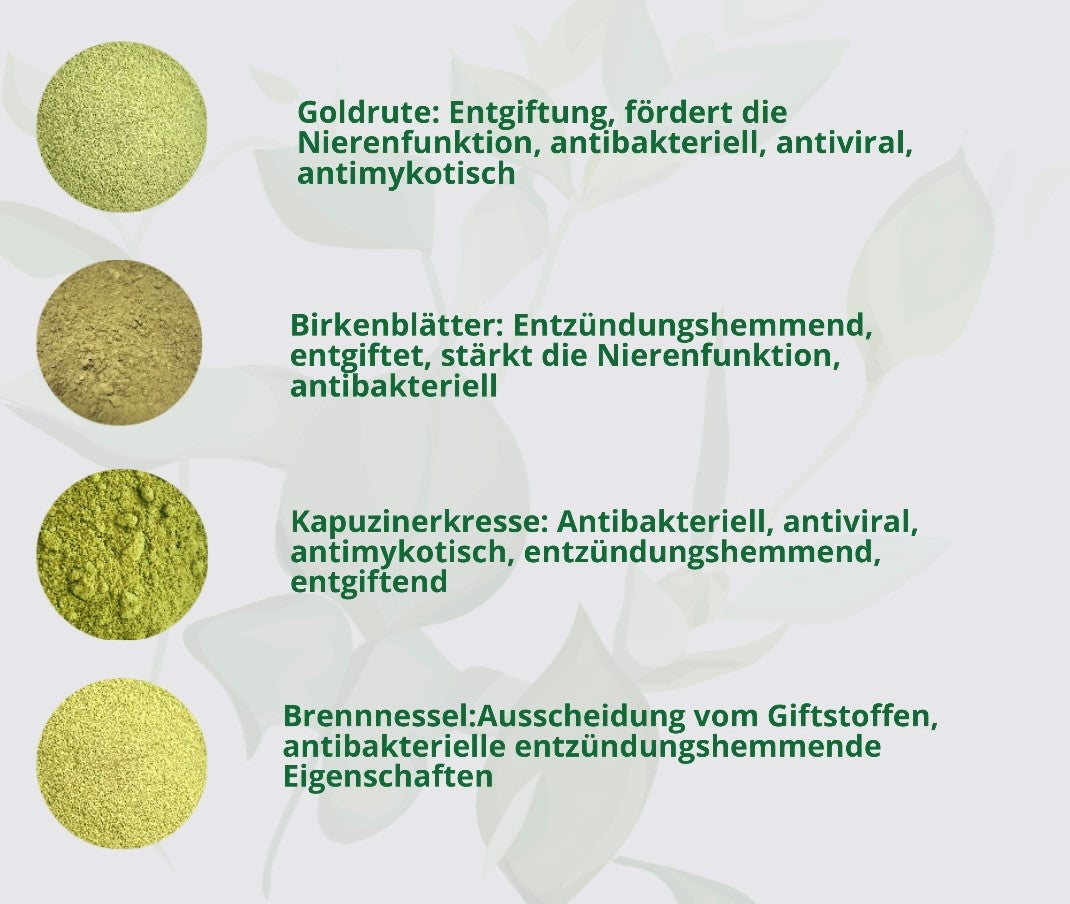Nieren Kräuter Druckfrei