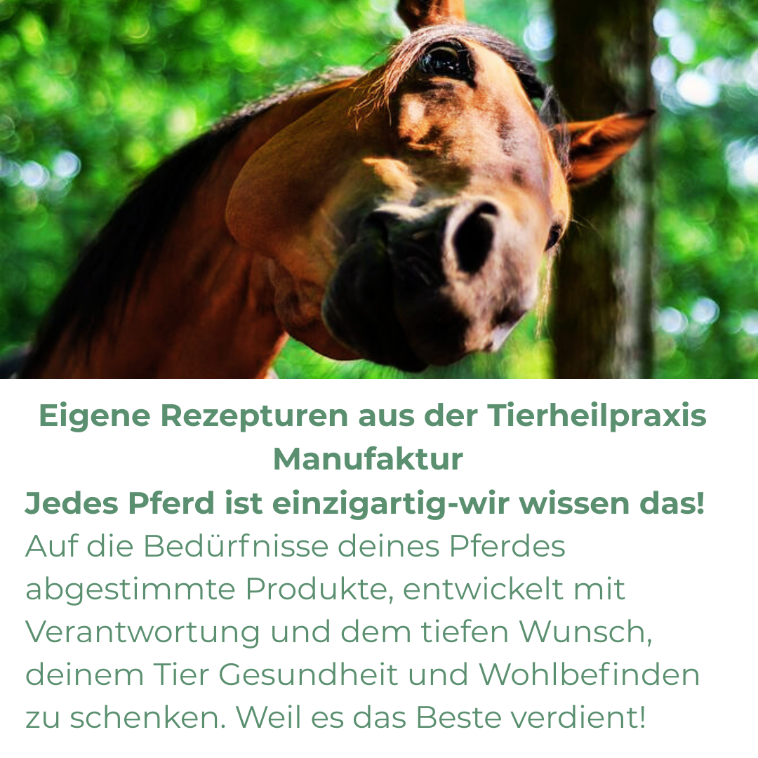 Pferde Kräuter aus der Tierheilpraxis