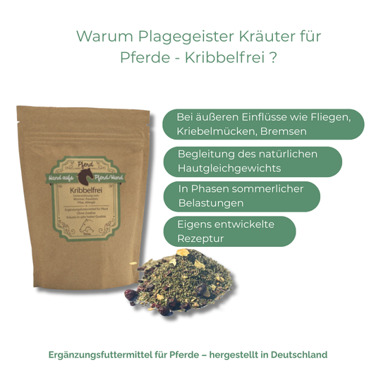 Begleitung in Phasen sommerlicher Belastung
