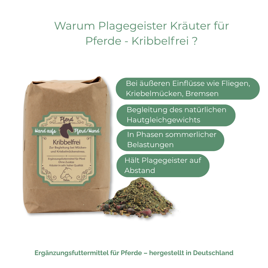 Fliegenschutz Pferd Sommer