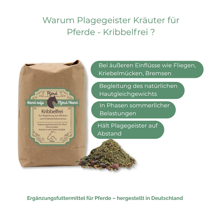 Fliegenschutz Pferd Sommer