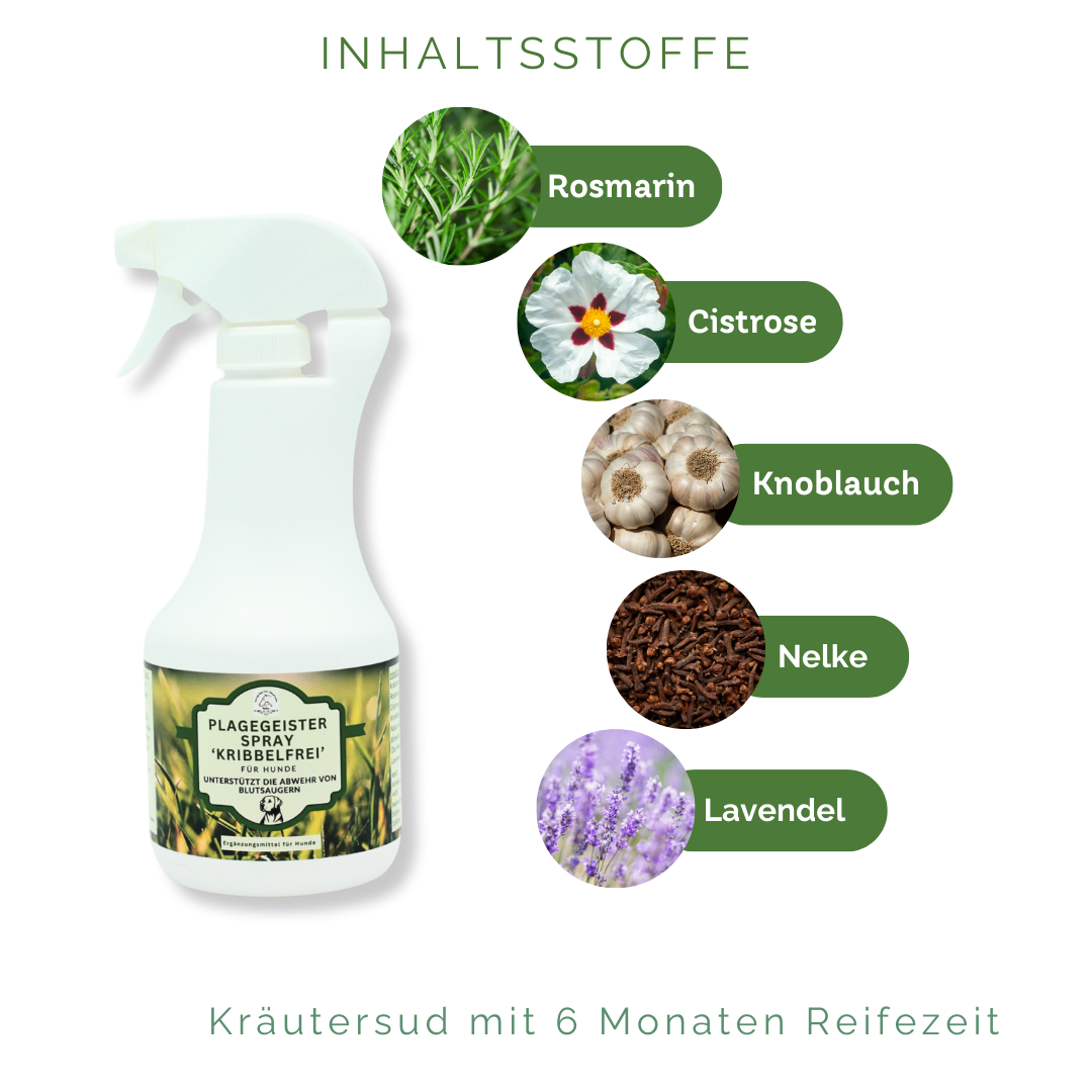 Zecken Prävention für Hunde