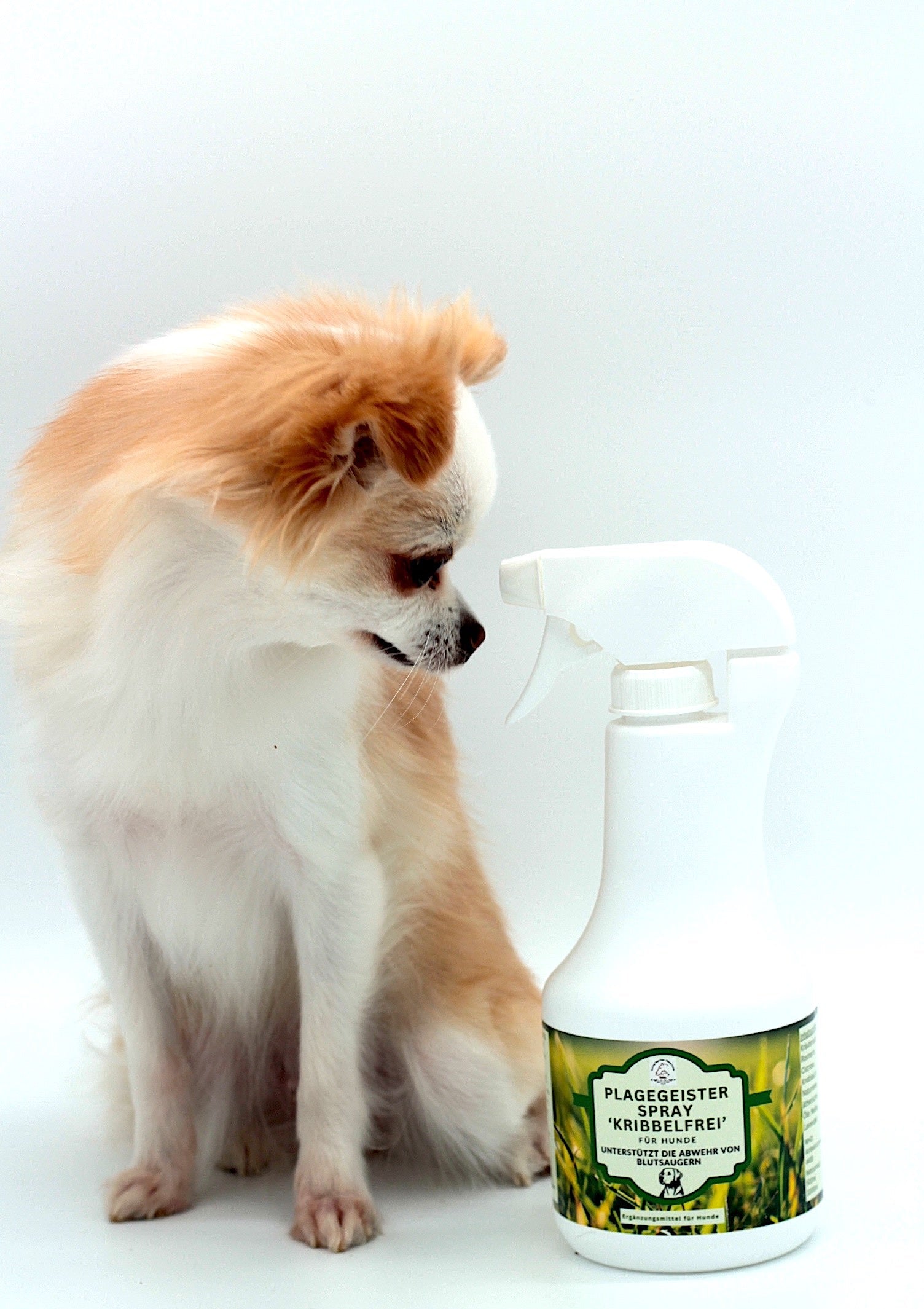 Floh und Zekcen Spray für Hunde