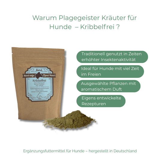 Plagegeister Kräuter für Hunde – Nährstoffvielfalt bei äußeren Belastungen durch Insekten