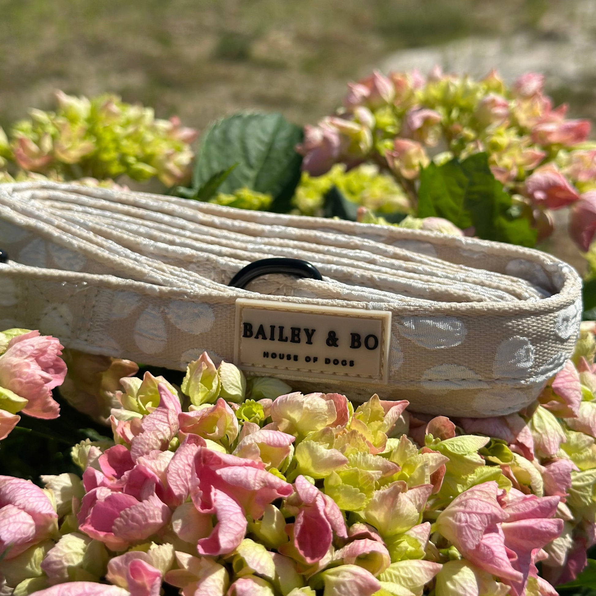 Hundeleine mit fester Handschlaufe - Vanilla Blossom Kollektion Bailey & Bo - House of Dogs