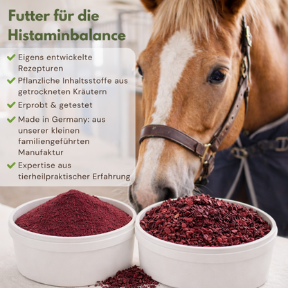 Rote Beete für Pferde geschnitten