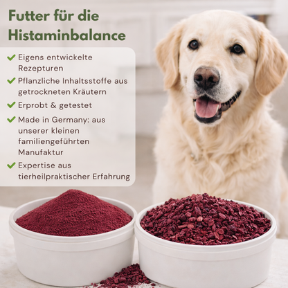 rote beete für hunde kaufen gemahlen