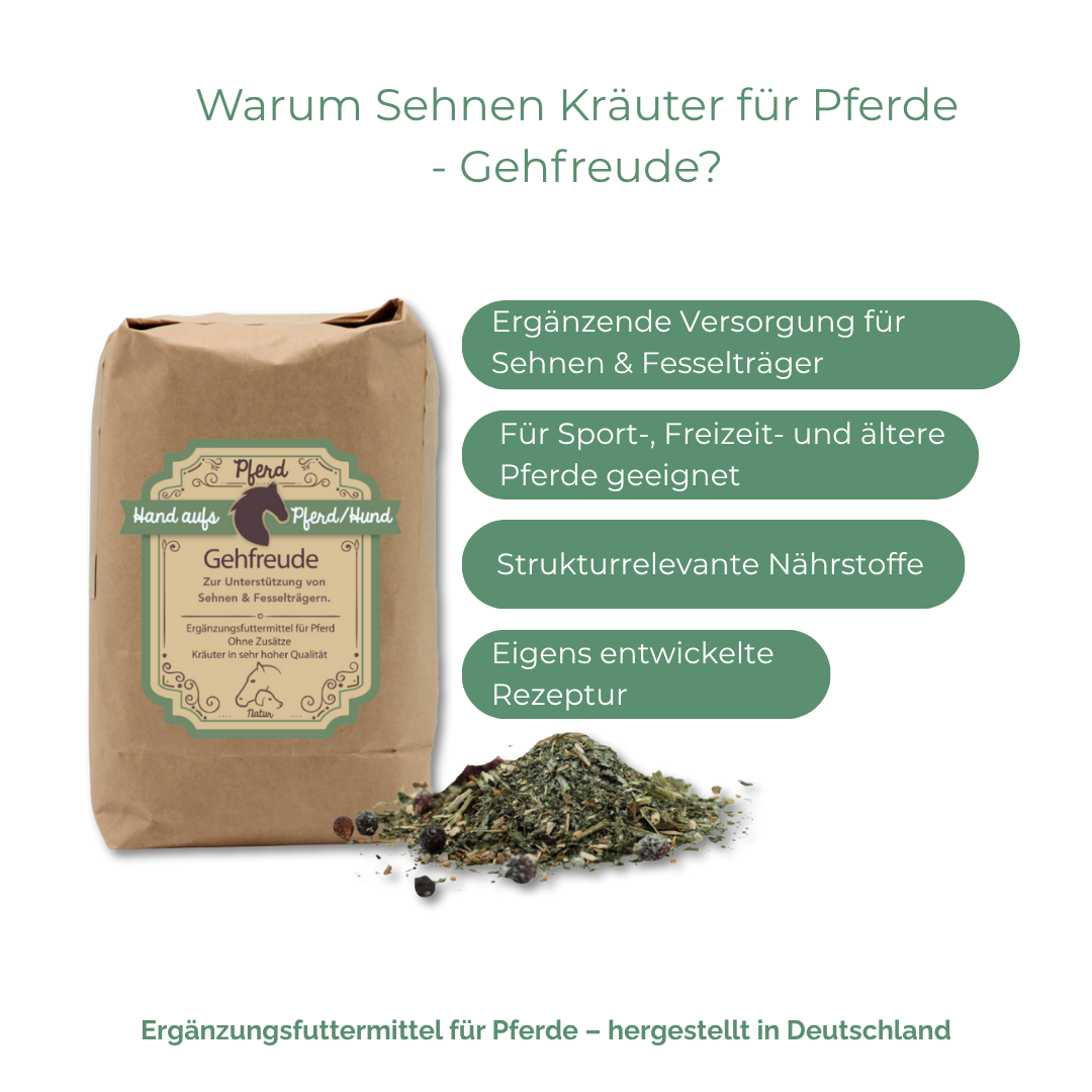 Ergänzung bei der Versorgung von Sehnen und Fesselträger