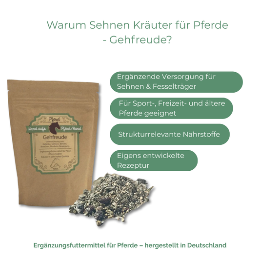 Ergänzung bei der Versorgung von Sehnen und Fesselträger