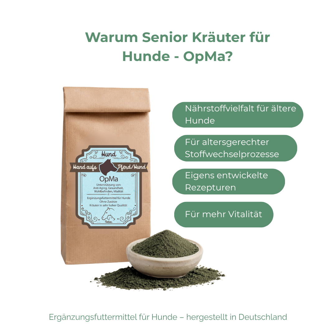 Stoffwechsel alte Hunde