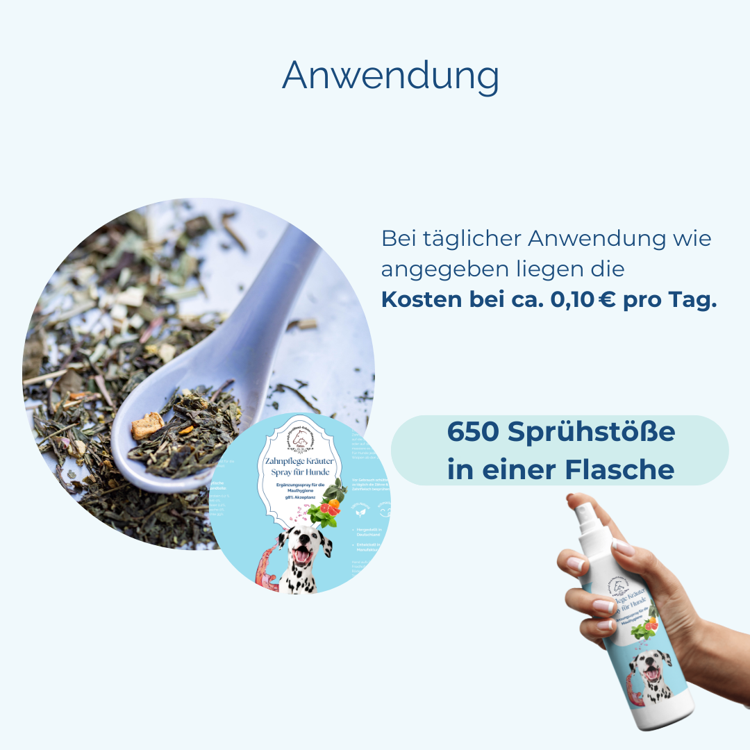 Zahnstein beim Hund entfernen ohne OP