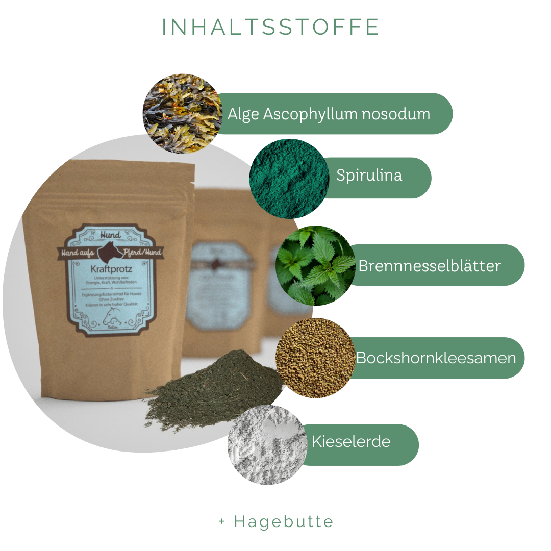 für Vitalität & Bewegungsfreude Hunde