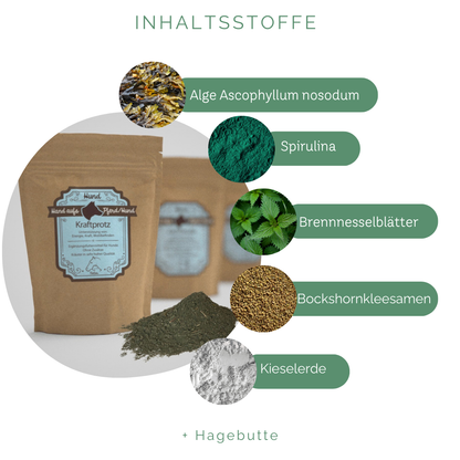 für Vitalität & Bewegungsfreude Hunde
