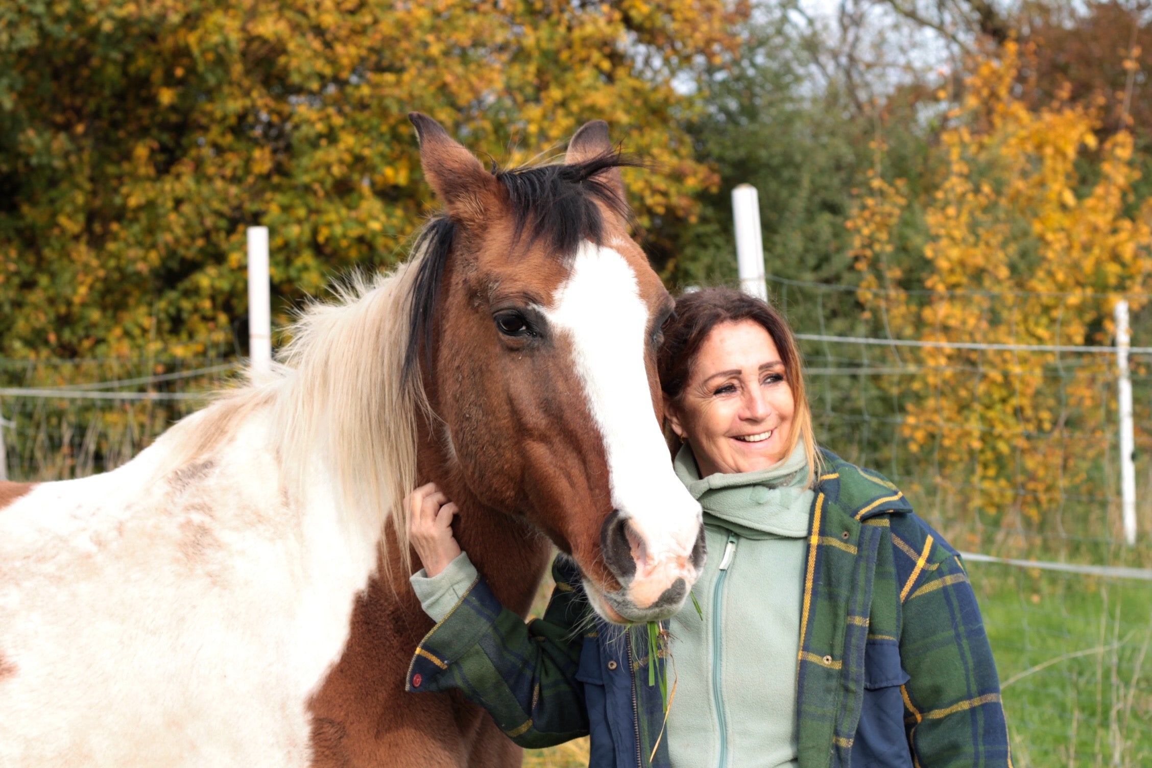 Wie kann man das Pferd entgiften und den Stoffwechsel stärken