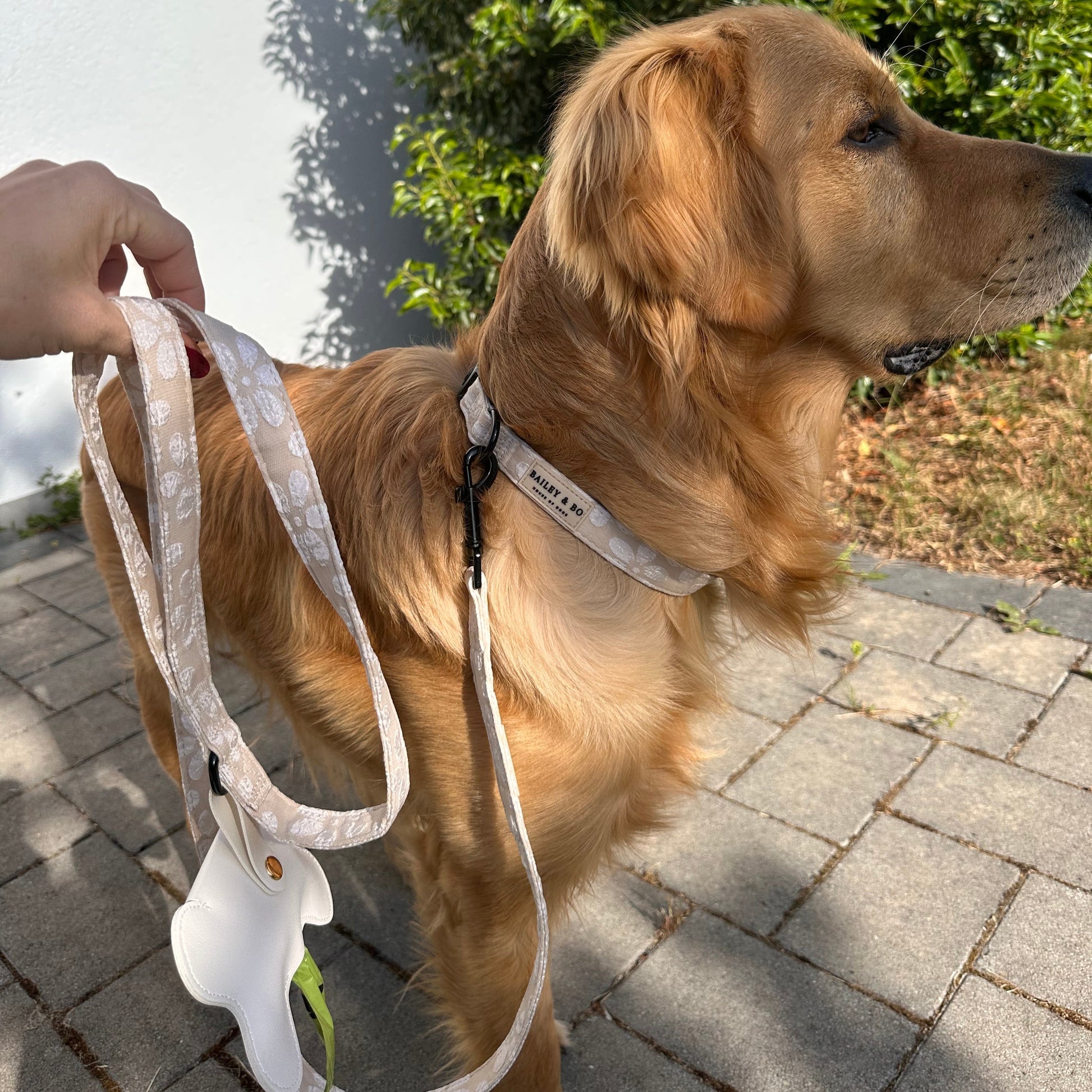 Hundeleine mit fester Handschlaufe - Vanilla Blossom Kollektion Bailey & Bo - House of Dogs