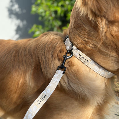 Hundeleine und Hundehalsband Beife Golden Retriever