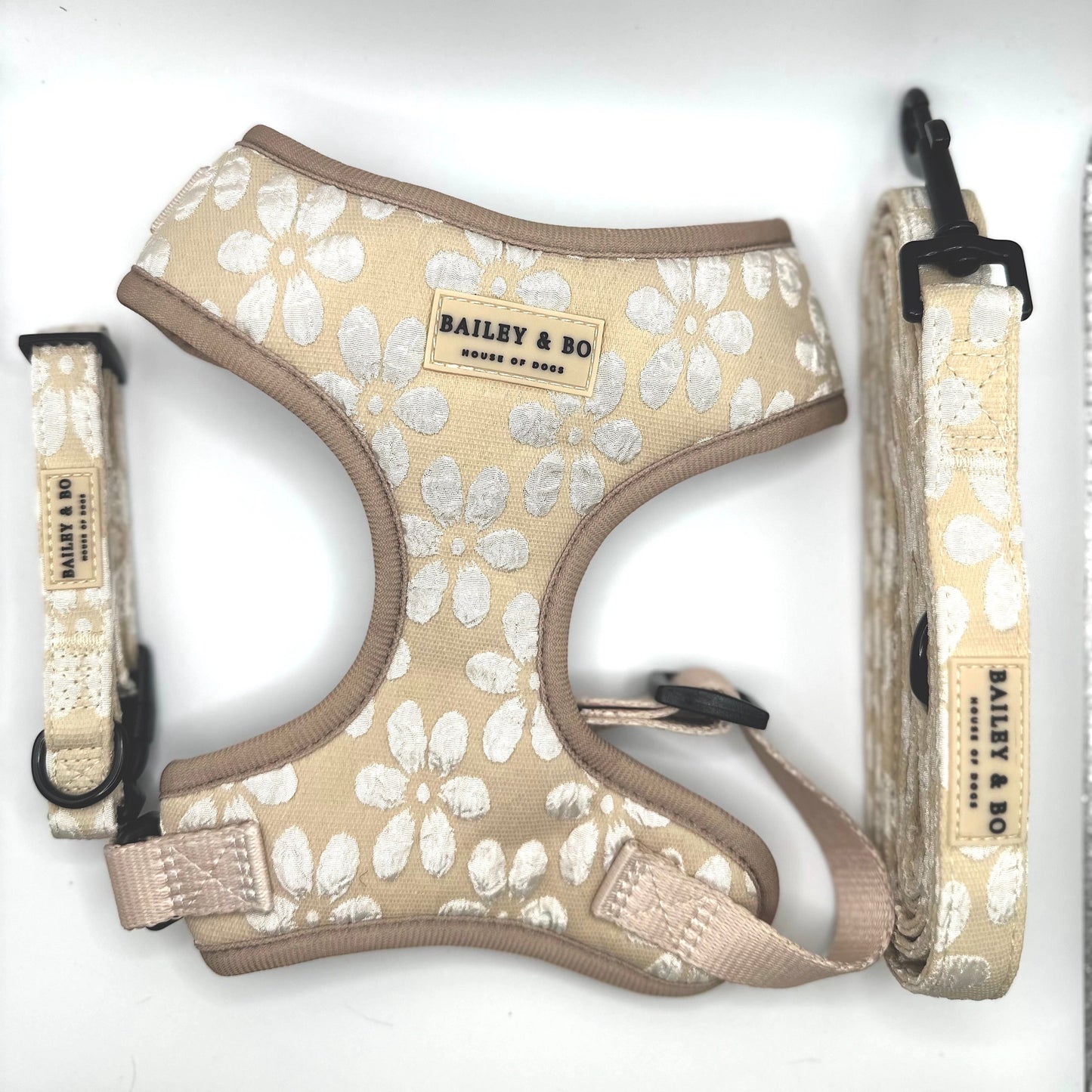 Hundebrustgeschirr, Leine und Halsband im Set Creme