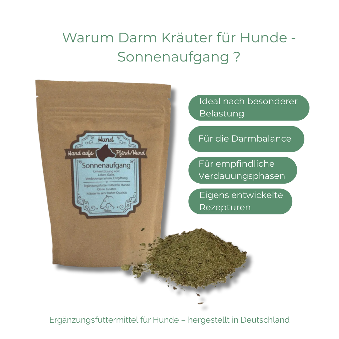 Natürliche Unterstützung für die körpereigenen Darmfunktion