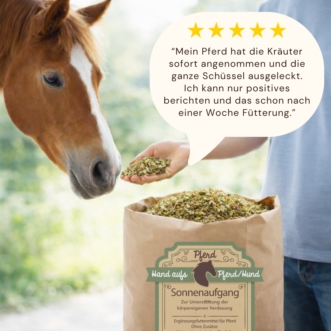 Erfaghrung Verdauungskräuter