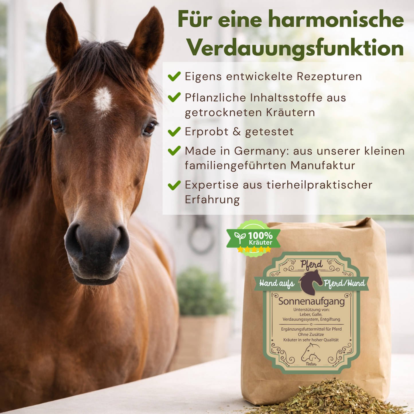 verdauung Pferd Kolik
