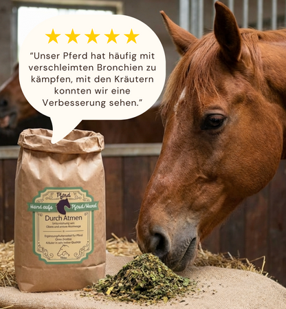 Pferd mit Bonchialkräuter und Bewertung von verschleimten Bronchien