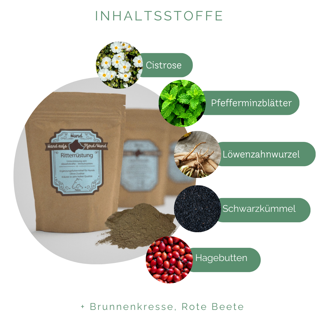 Inhaltsstoffe zur Vorbeugung und Staerkung im Winter fuer das Immunsystem