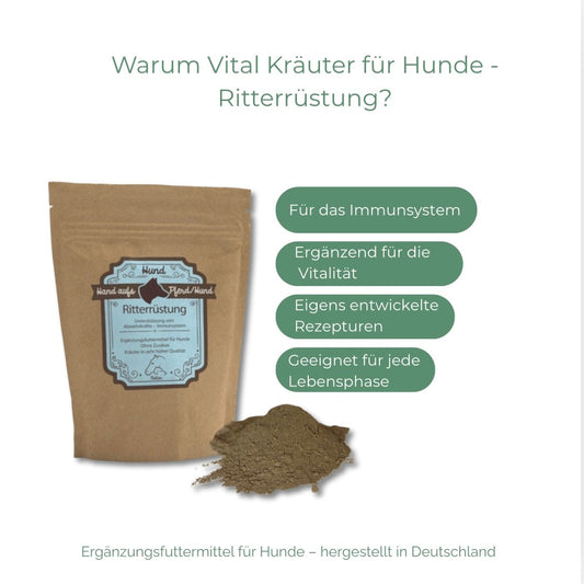 Immunsystem Hund natürlich stärken