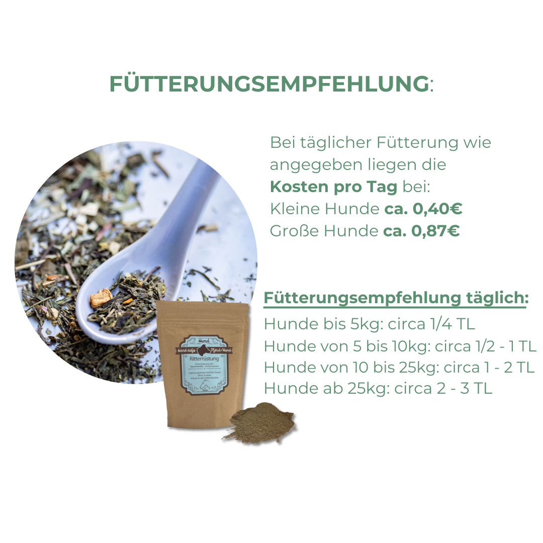 Hund nach Krankheit stärken