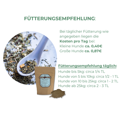 Hund nach Krankheit stärken