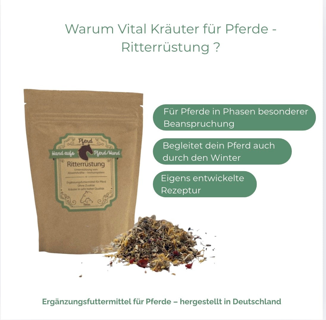 Immunsystem Pferd natürlich stärken