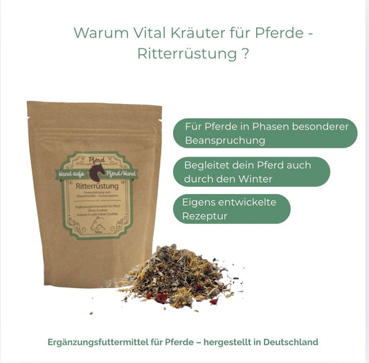 Immunsystem Pferd natürlich stärken