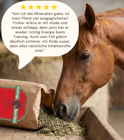 Mineralien spurenelemente Pferd natürlich