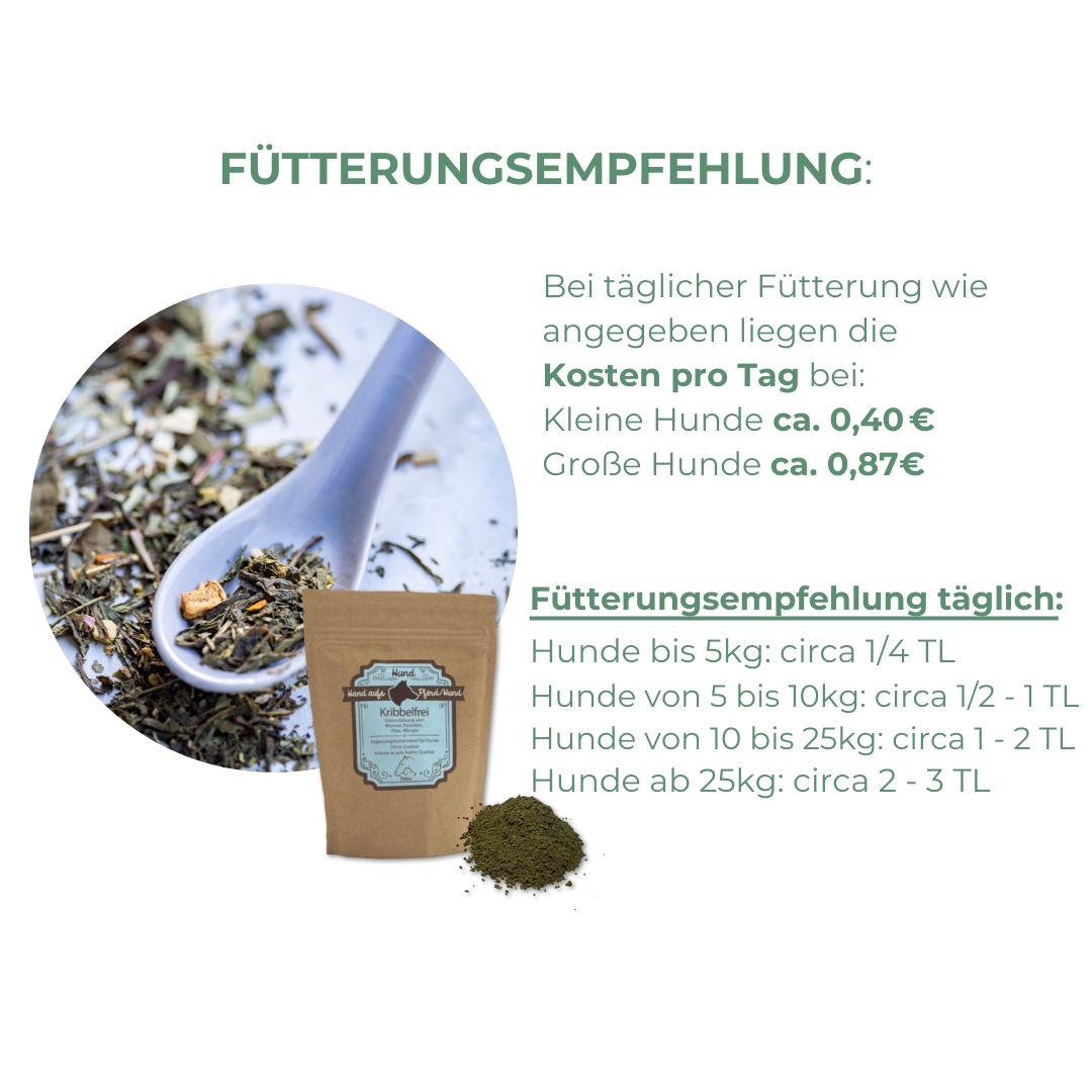 Unterstützung der Darmflora bei äußeren Einflüssen