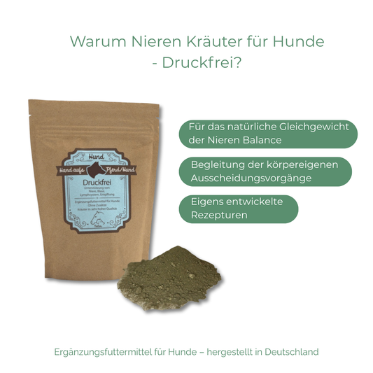 Natürliche Nierenkräuter für Hunde – Ergänzungsfuttermittel zur Unterstützung von Nieren und Harnwegen