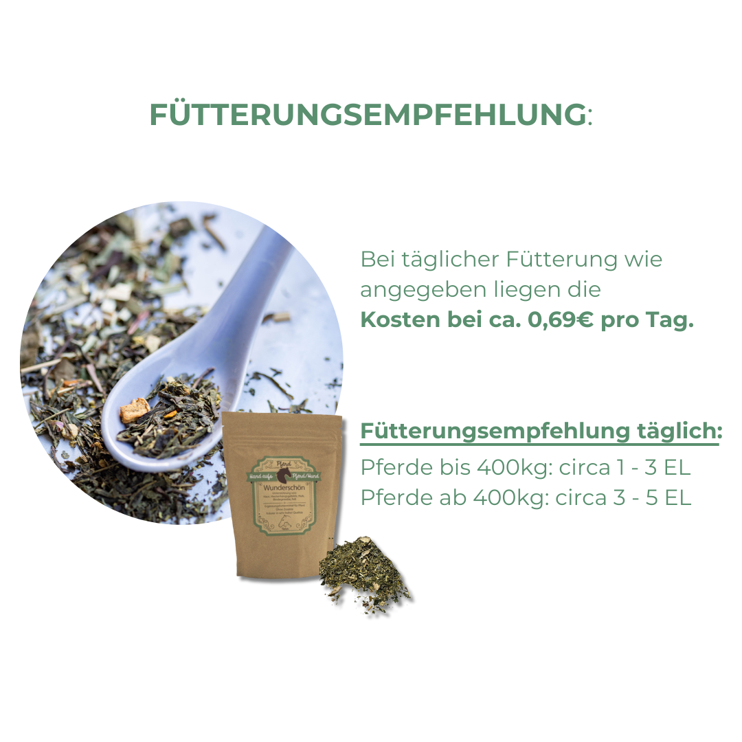 Ekzem und Juckreiz beim Pferd was hilft