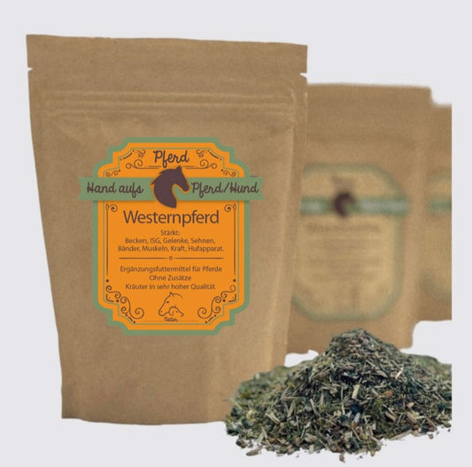 Westernpferd Training Futter