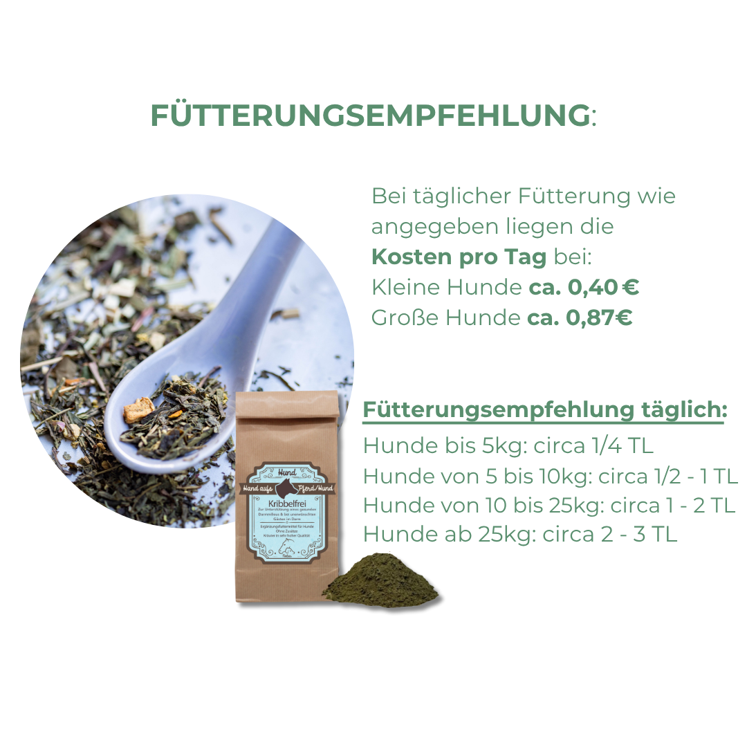 Unterstützung der Darmflora bei äußeren Einflüssen