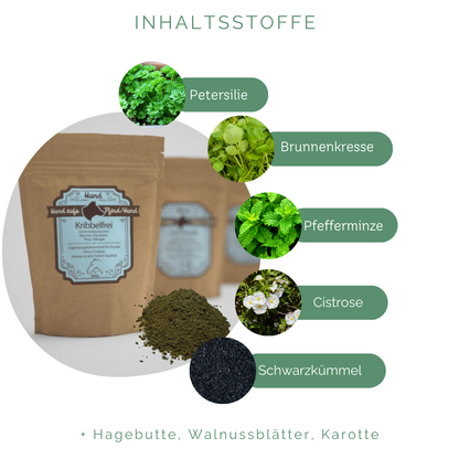Nährstoffvielfalt zur Begleitung der Darmflora bei äußeren Einflüssen