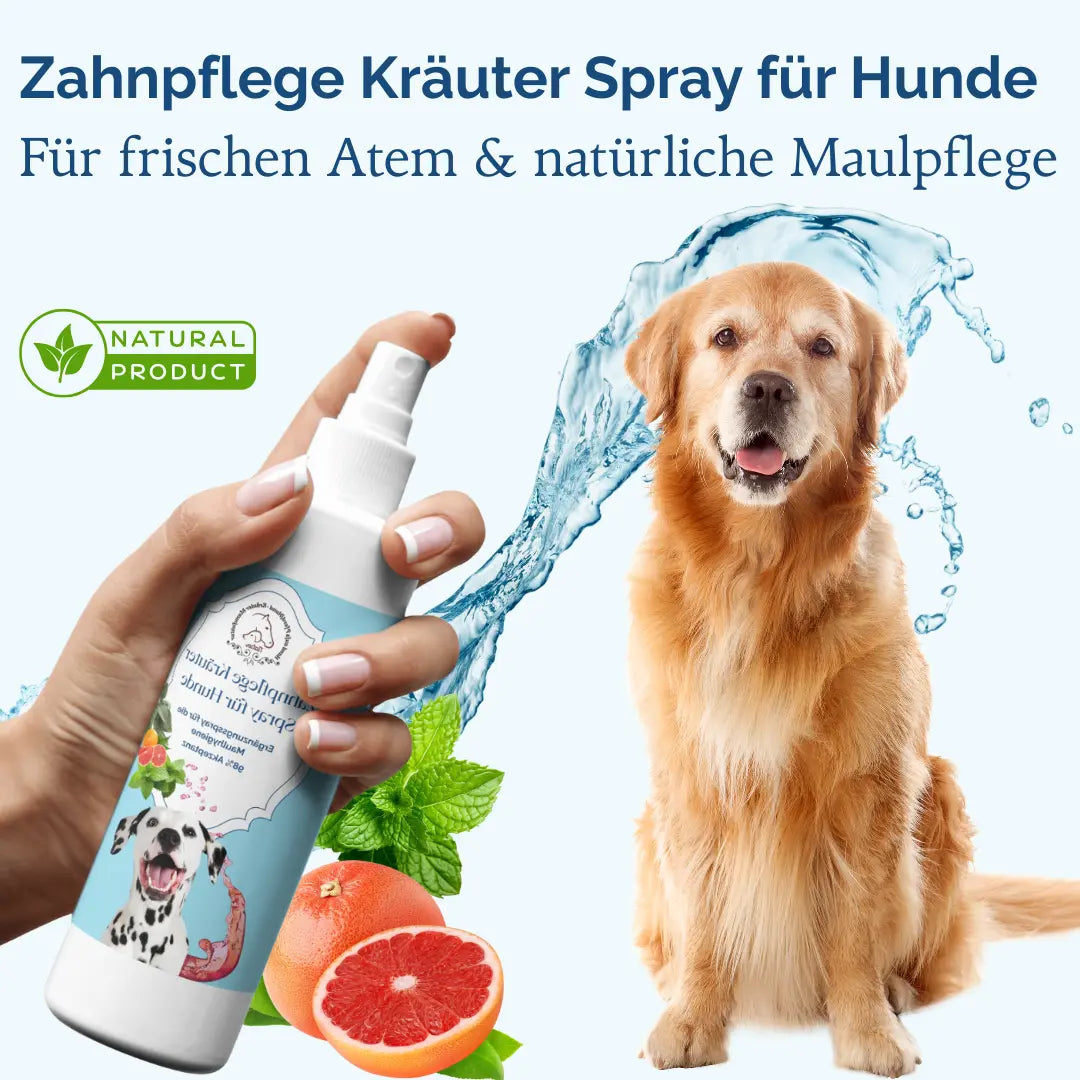 Zahnpflege Kräuterspray für Hunde - Für die tägliche Zahnhygiene und Maulpflege