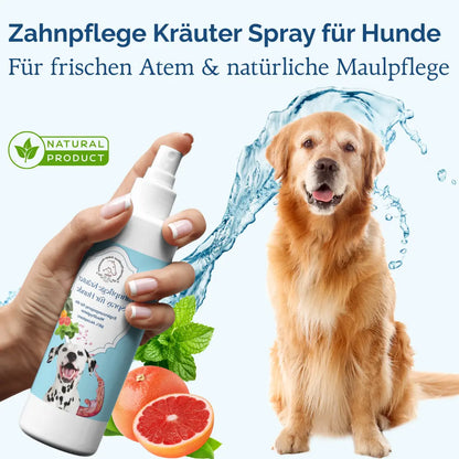 Zahnpflege Kräuterspray für Hunde - Für die tägliche Zahnhygiene und Maulpflege