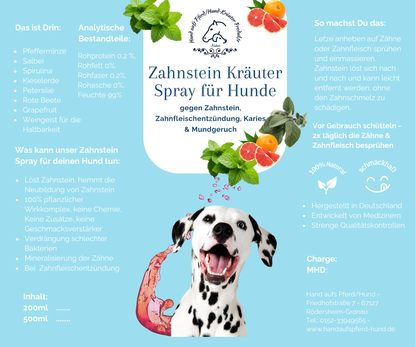 Zahnpflege Kräuter Spray