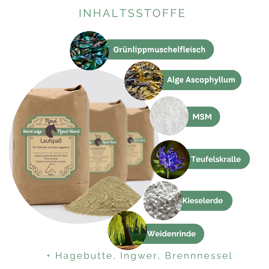 Zusatzfutter