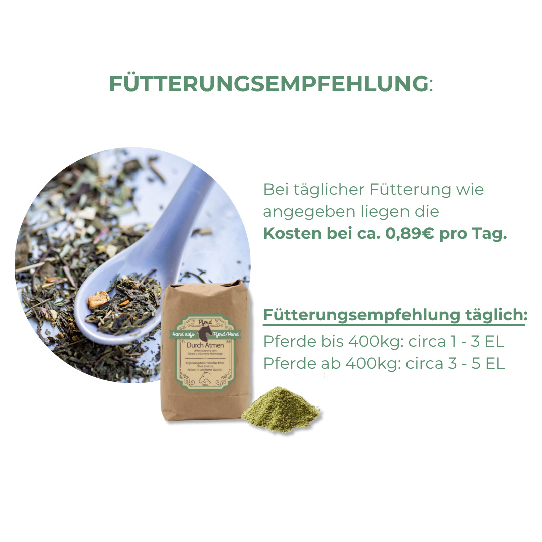 Pflanzenbasierte Nährstoffvielfalt für die Atemwege